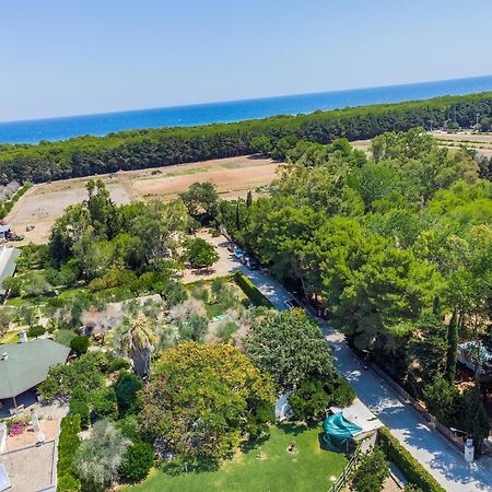 Bio Agriturismo Salos Аліміні Екстер'єр фото