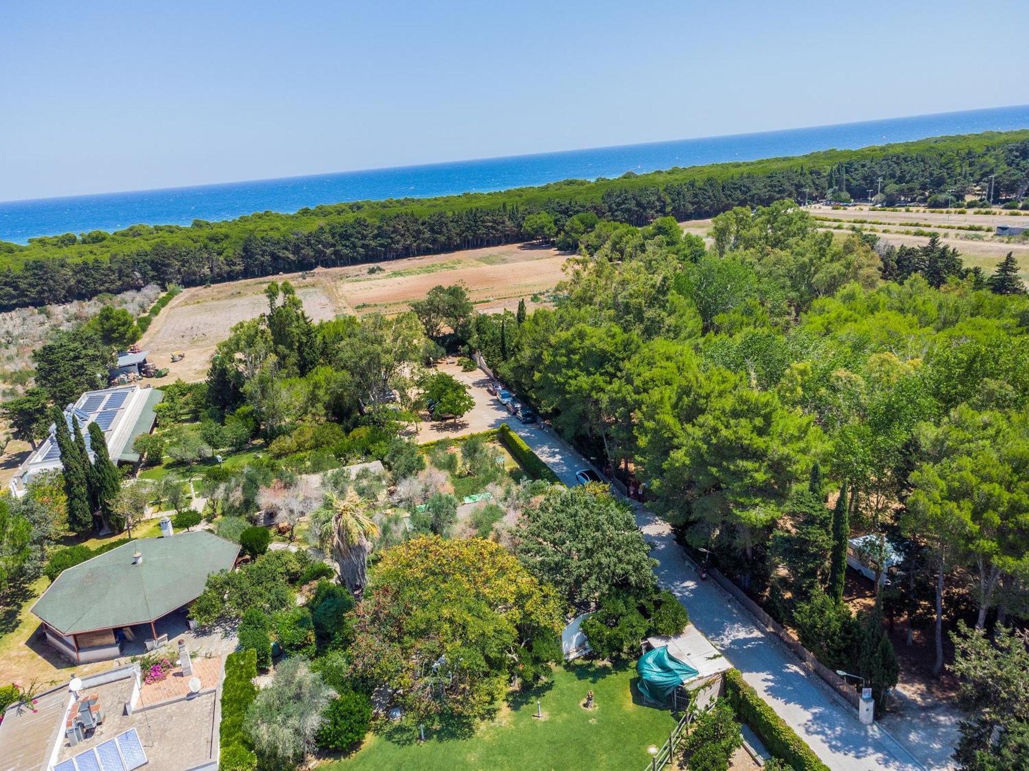 Bio Agriturismo Salos Аліміні Екстер'єр фото