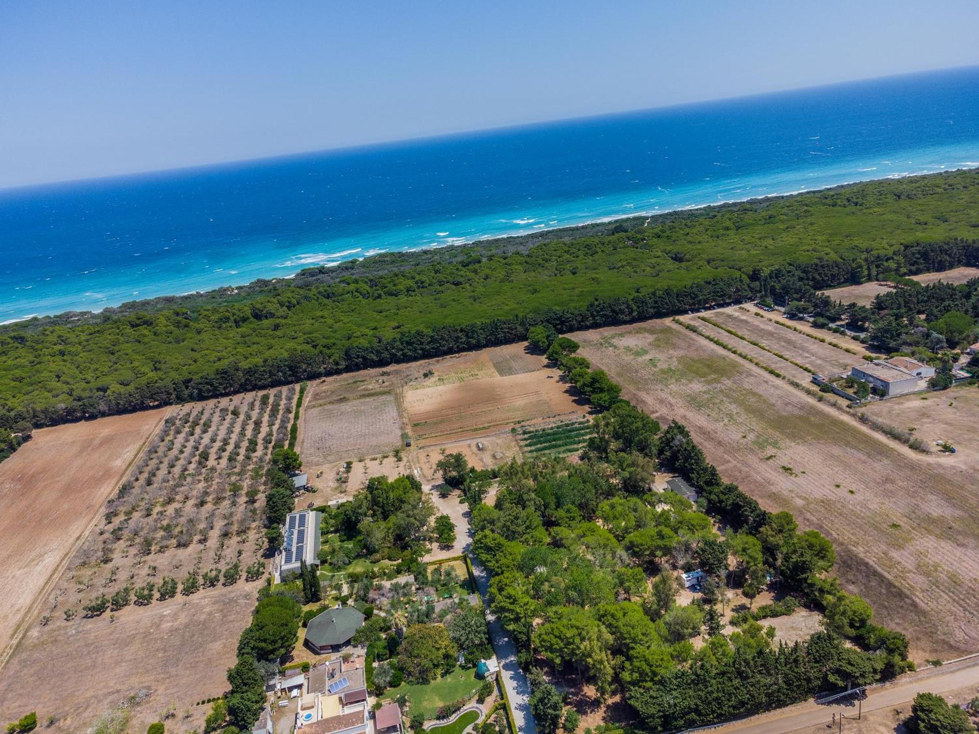 Bio Agriturismo Salos Аліміні Екстер'єр фото